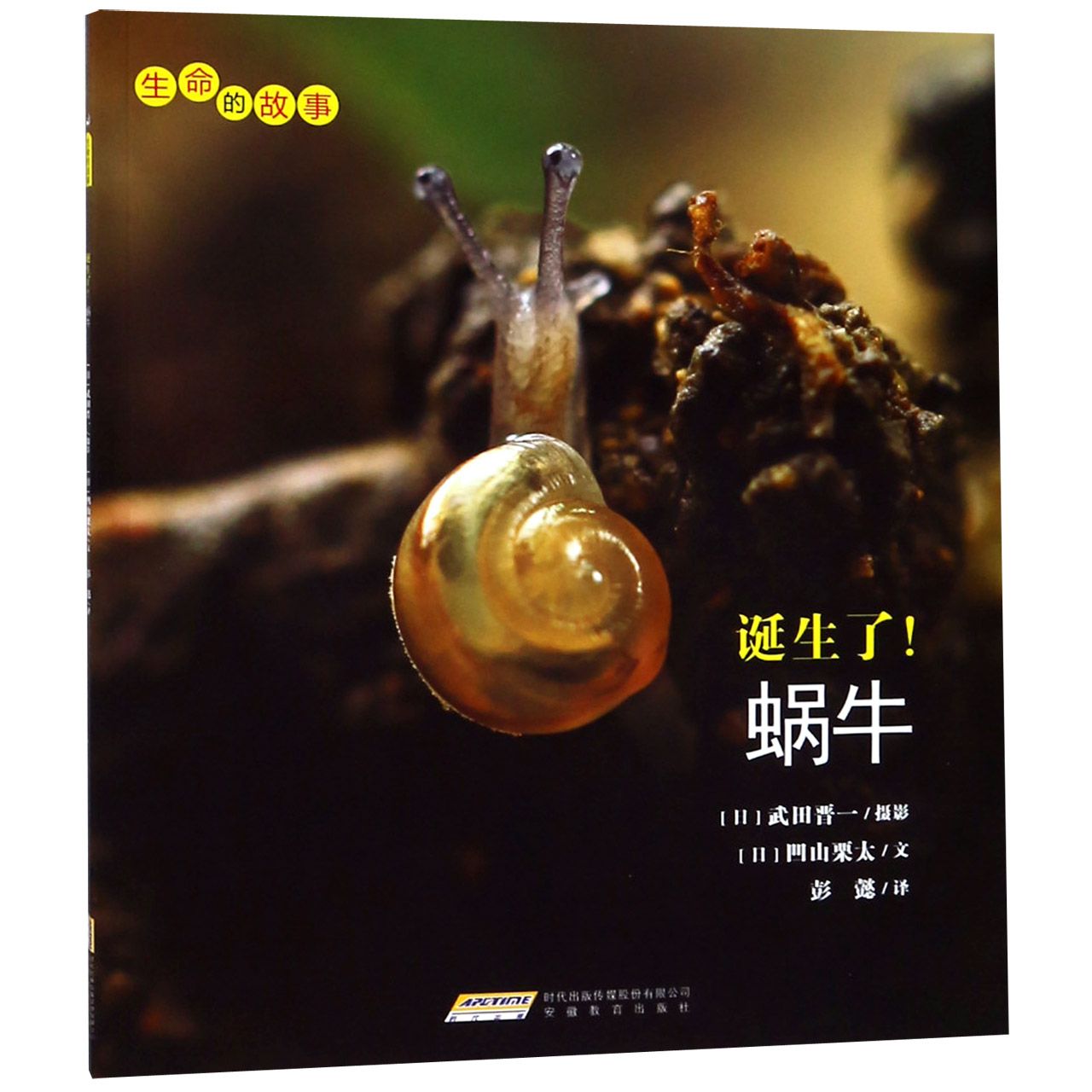 诞生了蜗牛/生命的故事