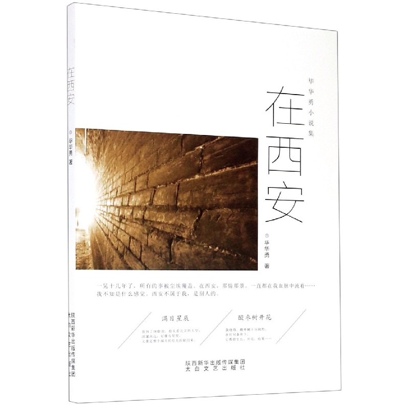 在西安（毕华勇小说集）