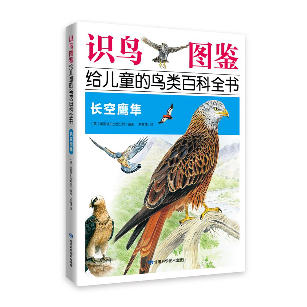《识鸟图鉴,给儿童的鸟类百科全书:长空鹰隼》