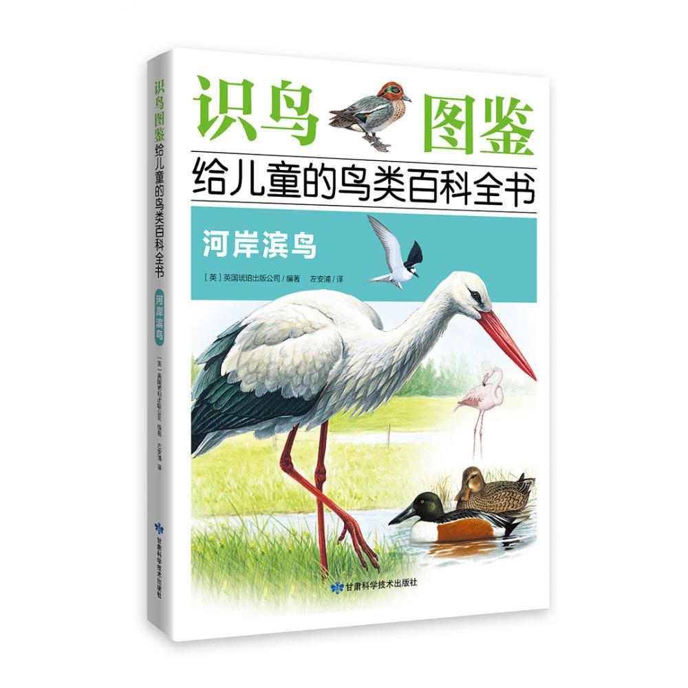 《识鸟图鉴,给儿童的鸟类百科全书:河岸滨鸟》