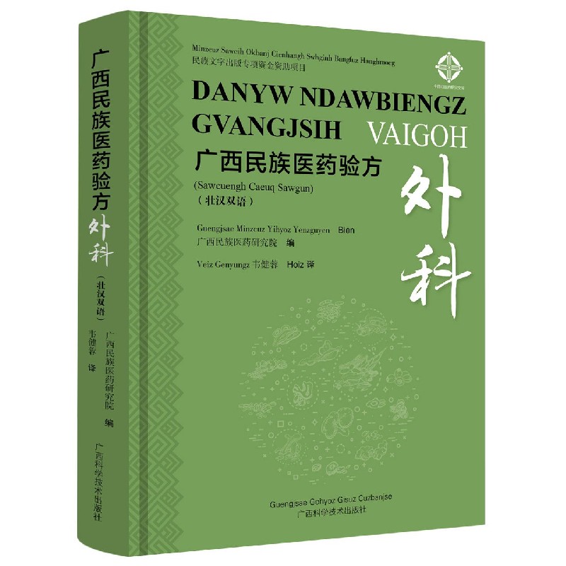 广西民族医药验方外科（汉壮）