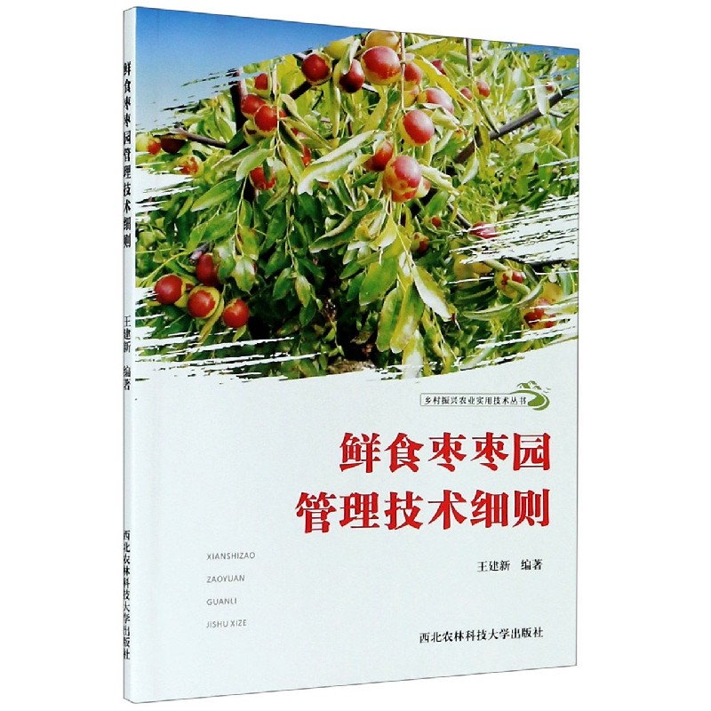 鲜食枣枣园管理技术细则/乡村振兴农业实用技术丛书