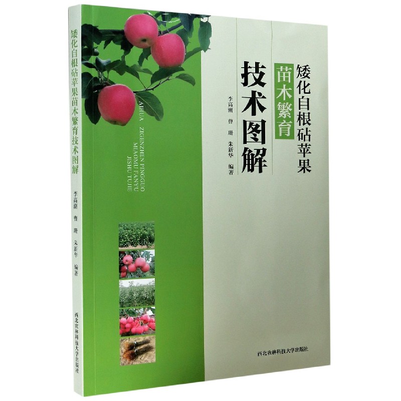 矮化自根砧苹果苗木繁育技术图解