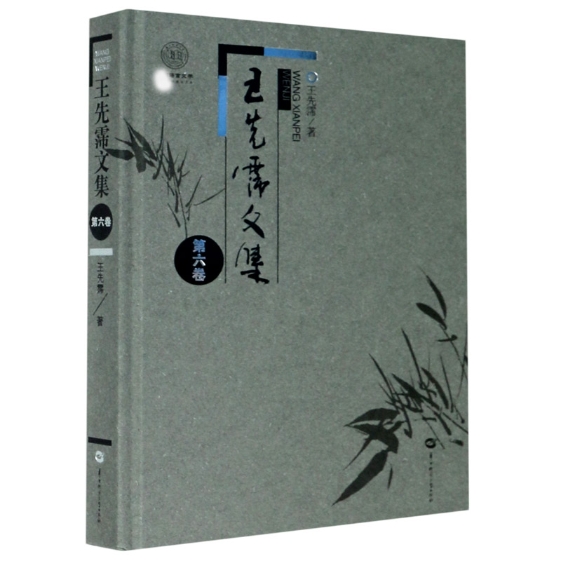 王先霈文集（第6卷）（精）/中国语言文学学科建设文库