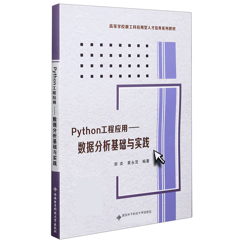 Python工程应用--数据分析基础与实践（高等学校新工科应用型人才培养系列教材）