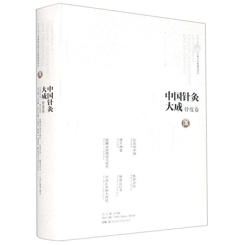 中国针灸大成（骨度卷存真环中图尊生图要脏腑证治图说人镜经析骨分经脉度运行考中西汇