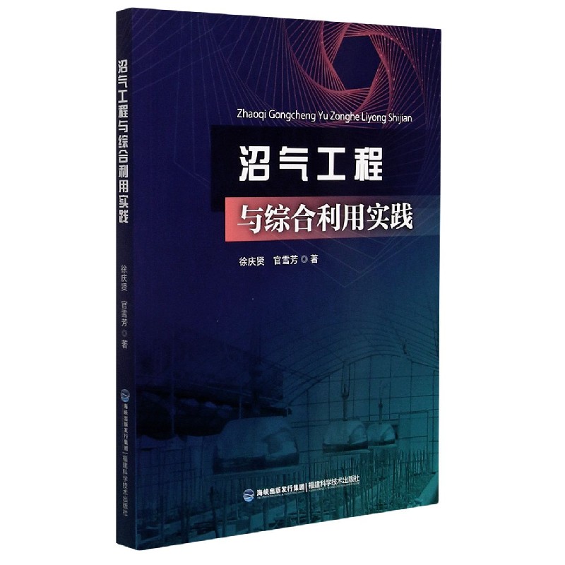 沼气工程与综合利用实践