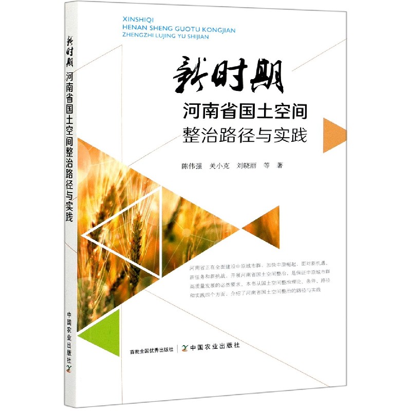 新时期河南省国土空间整治路径与实践