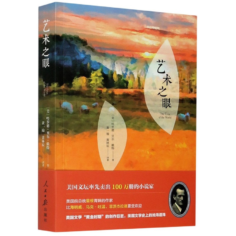 艺术之眼