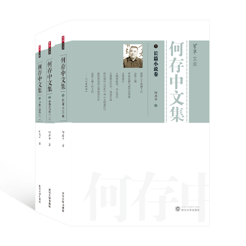 何存中文集（全3册）（长篇小说卷；中篇小说卷（上）；中篇小说卷（下））