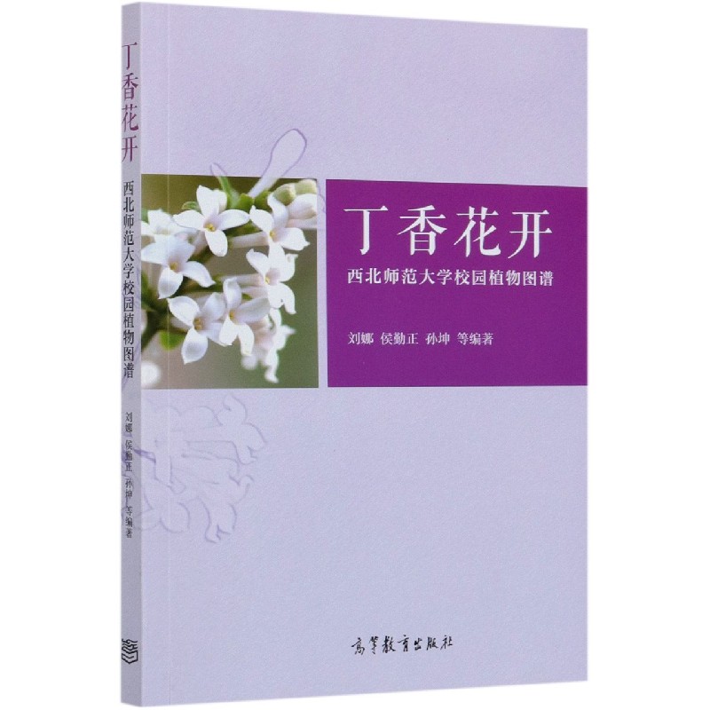 丁香花开（西北师范大学校园植物图谱）