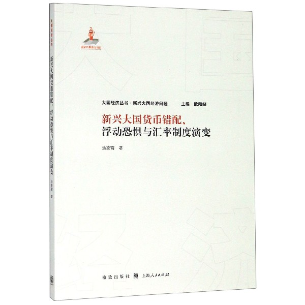 新兴大国货币错配浮动恐惧与汇率制度演变/大国经济丛书