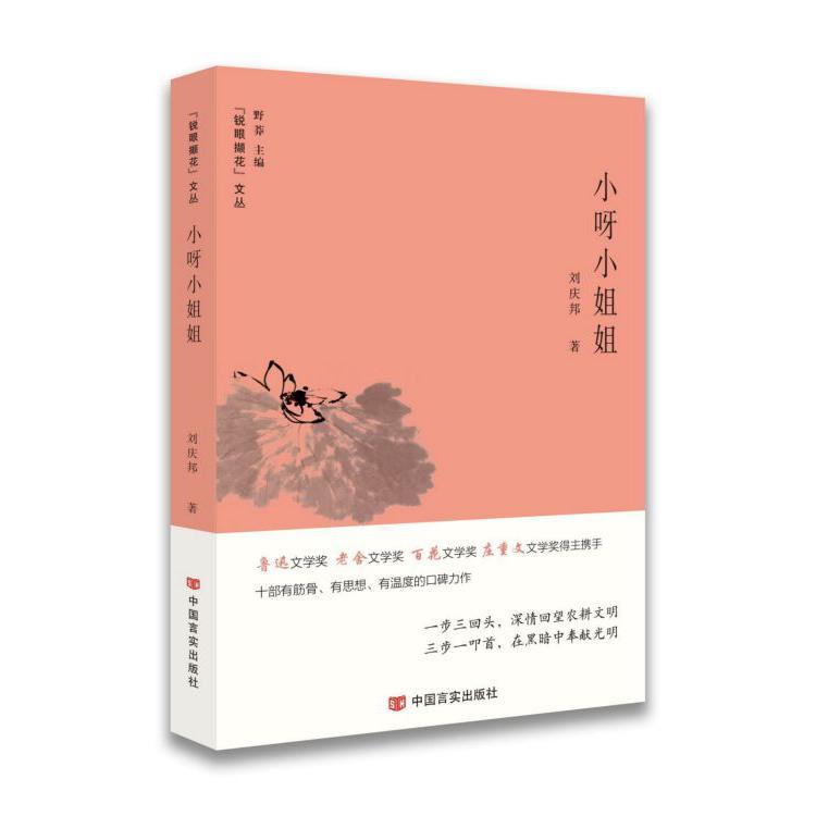 小呀小姐姐/锐眼撷花文丛
