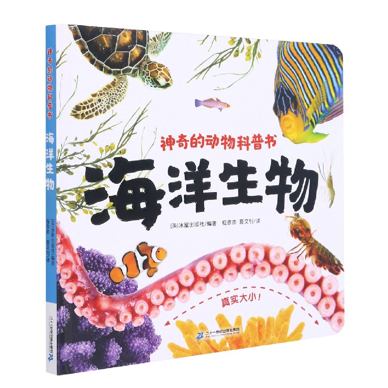 海洋生物（精）/神奇的动物科普书