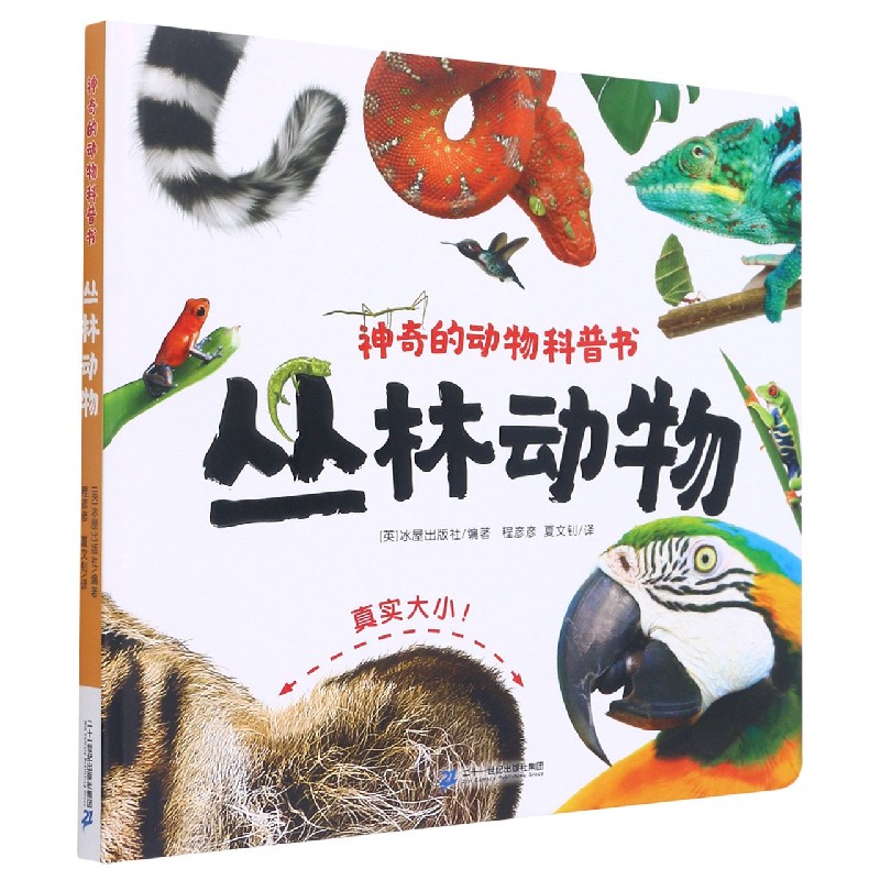 丛林动物（精）/神奇的动物科普书