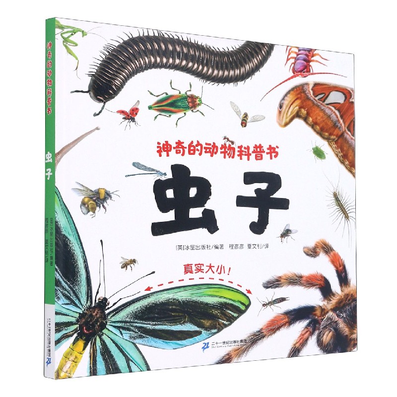 虫子（精）/神奇的动物科普书