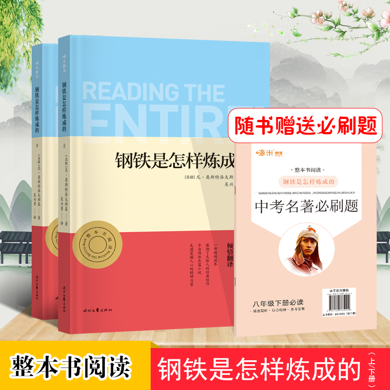 钢铁是怎样炼成的（全二册）