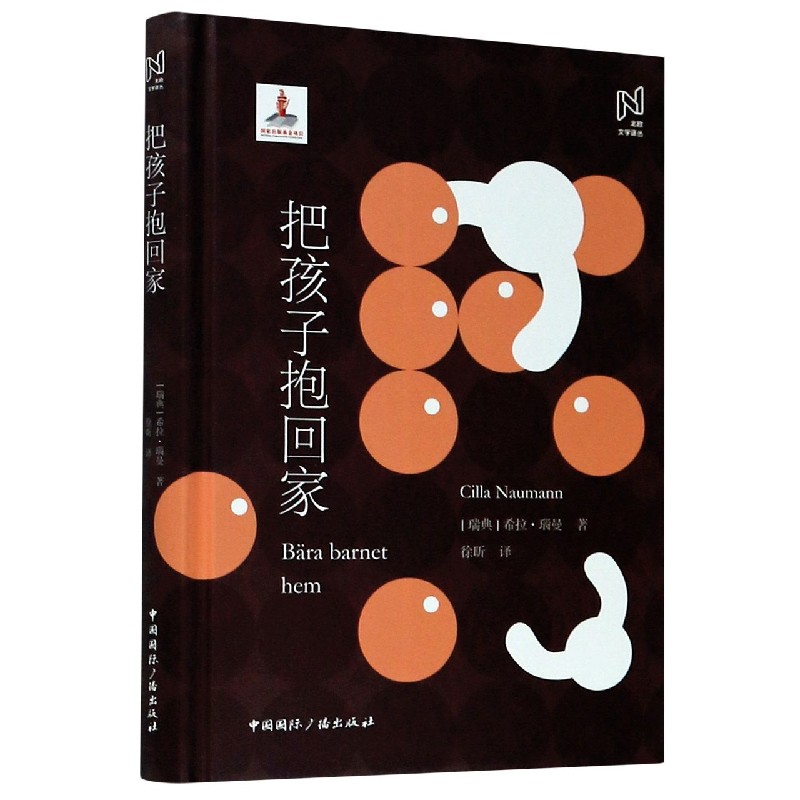 把孩子抱回家（精）/北欧文学译丛