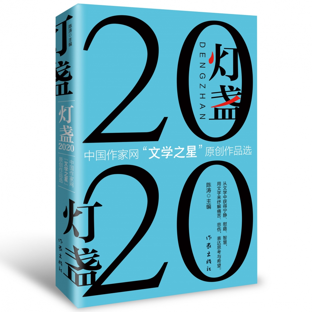 灯盏2020:中国作家网“文学之星”原创作品选