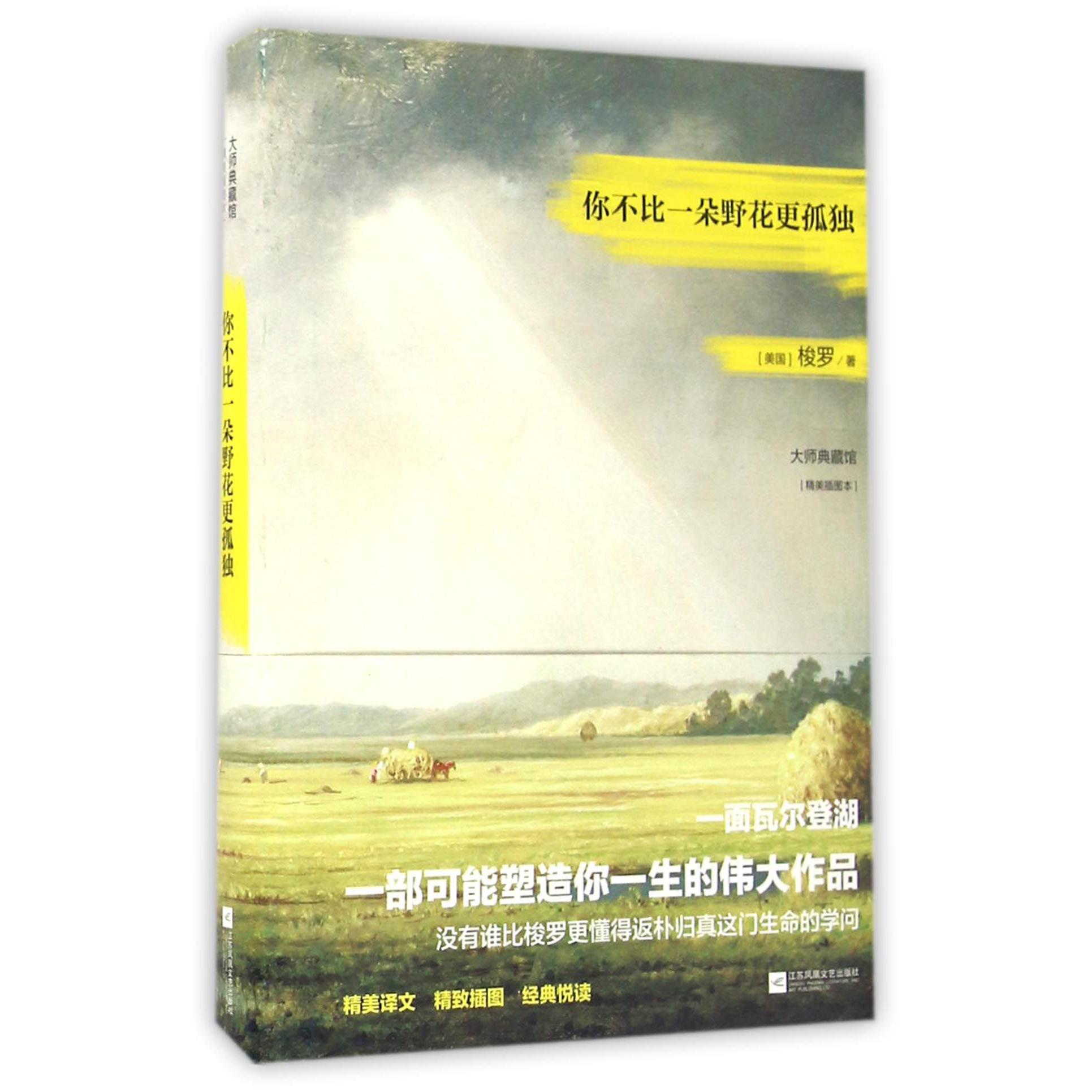 你不比一朵野花更孤独(精美插图本)(精)/大师典藏馆