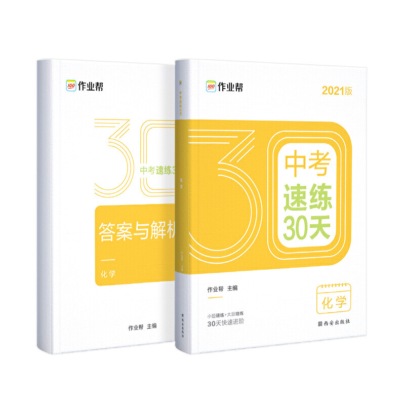 中考速练30天 化学