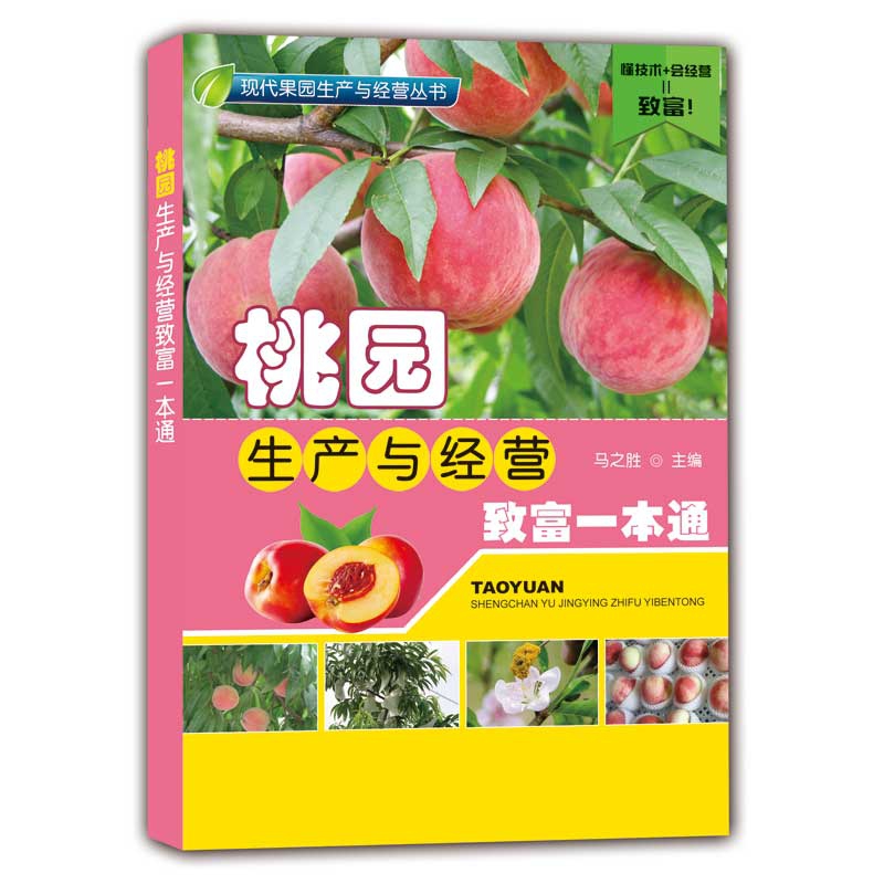 桃园生产与经营致富一本通/现代果园生产与经营丛书