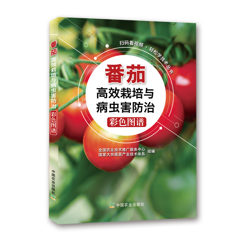 番茄高效栽培与病虫害防治彩色图谱/扫码看视频轻松学技术丛书
