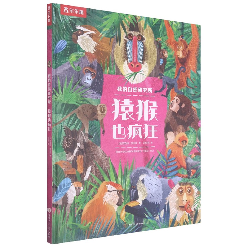 猿猴也疯狂（精）/我的自然研究所