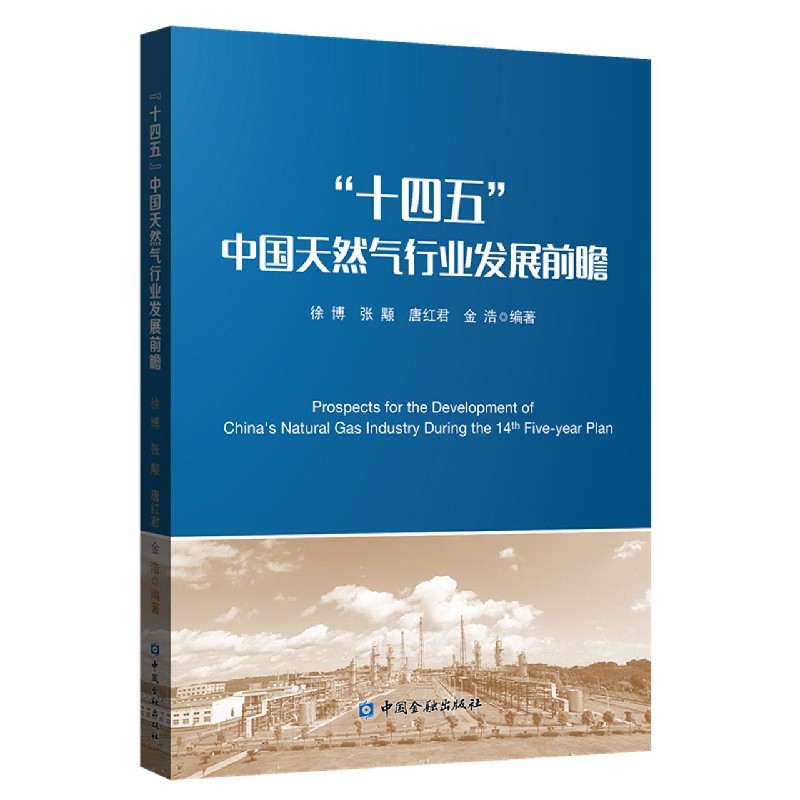 十四五中国天然气行业发展前瞻