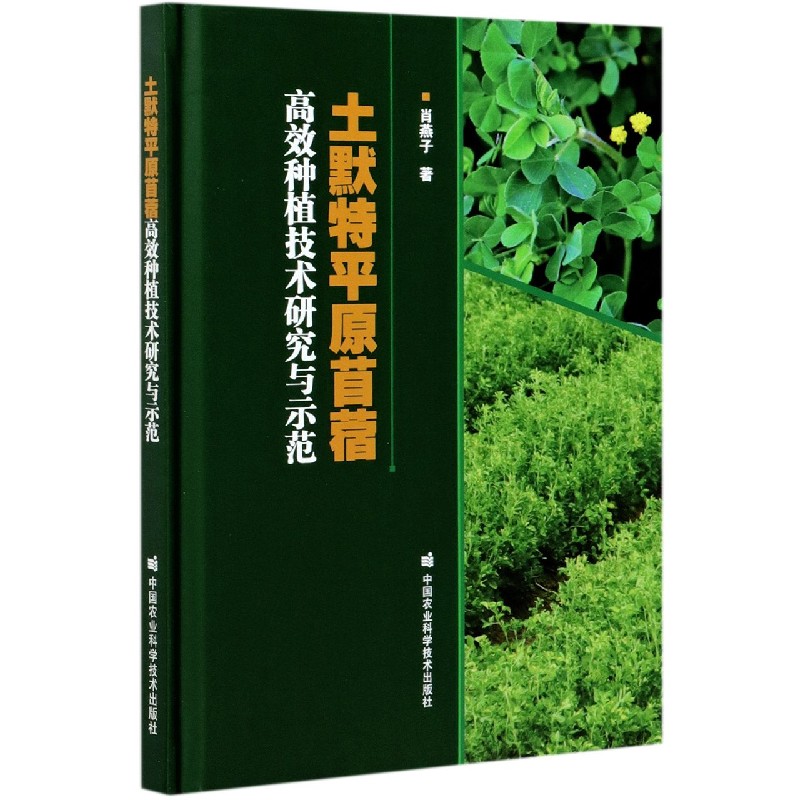 土默特平原苜蓿高效种植技术研究与示范（精）