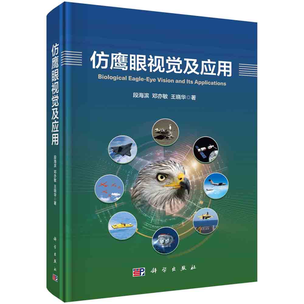 仿鹰眼视觉及应用（精）