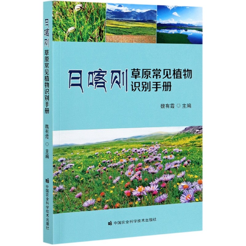 日喀则草原常见植物识别手册