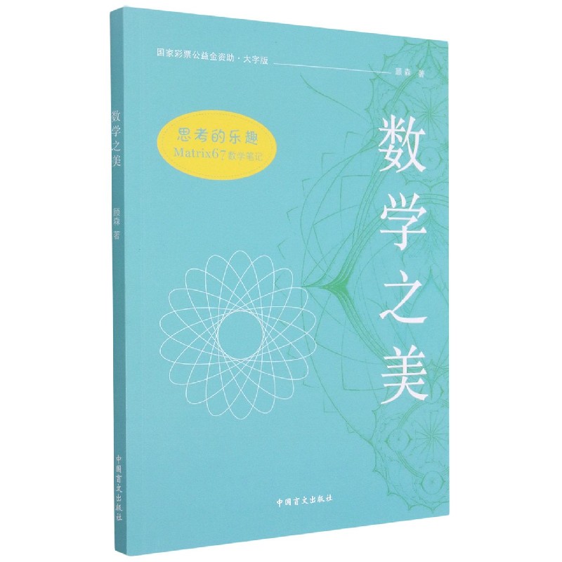 数学之美（大字版）/思考的乐趣