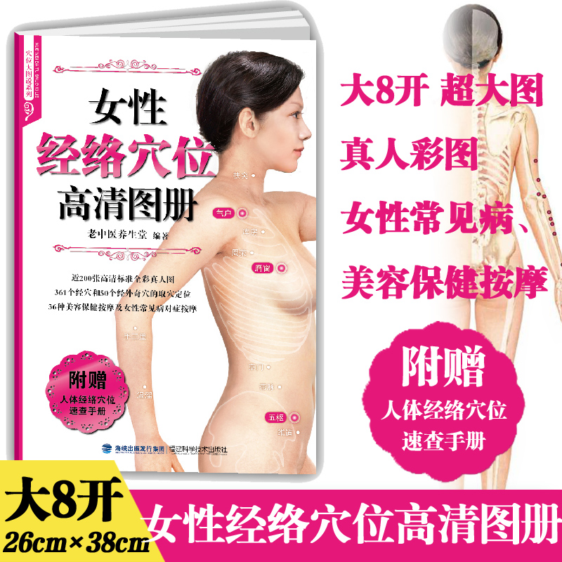 女性经络穴位高清图册/穴位大图说系列