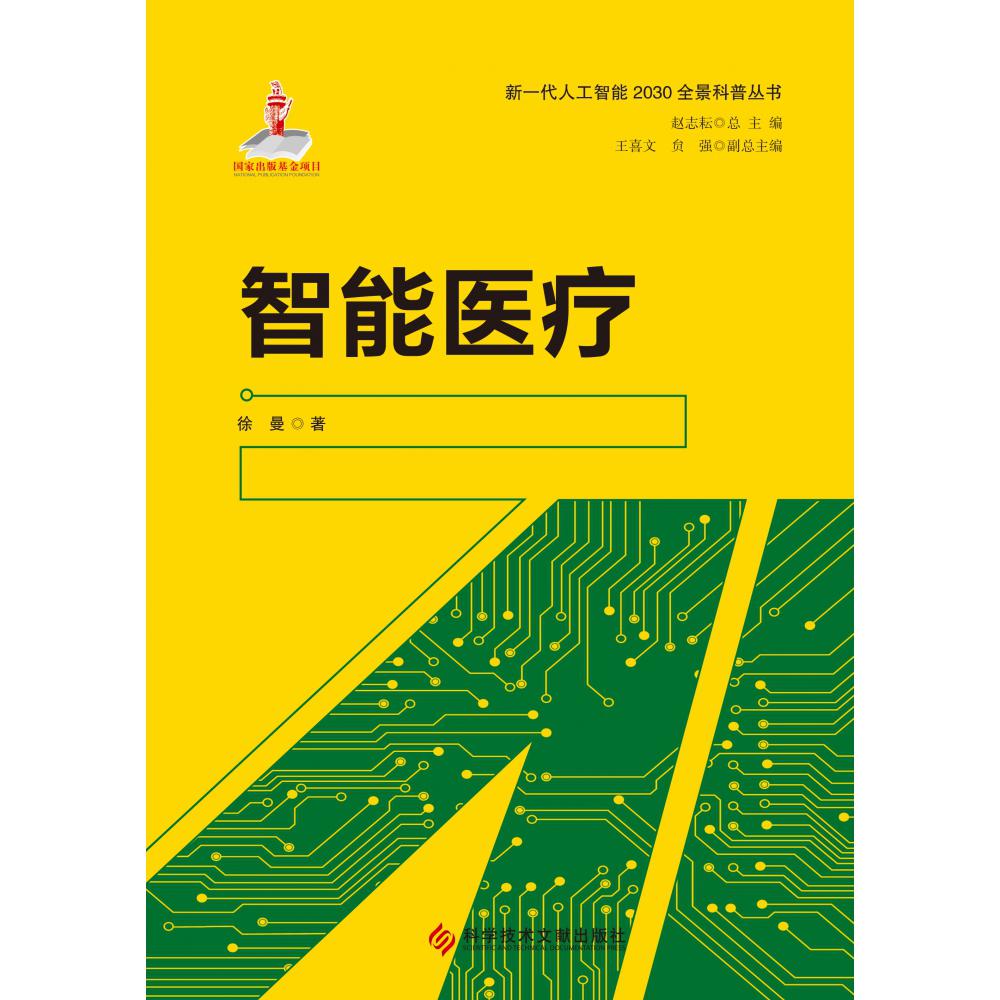 智能医疗/新一代人工智能2030全景科普丛书