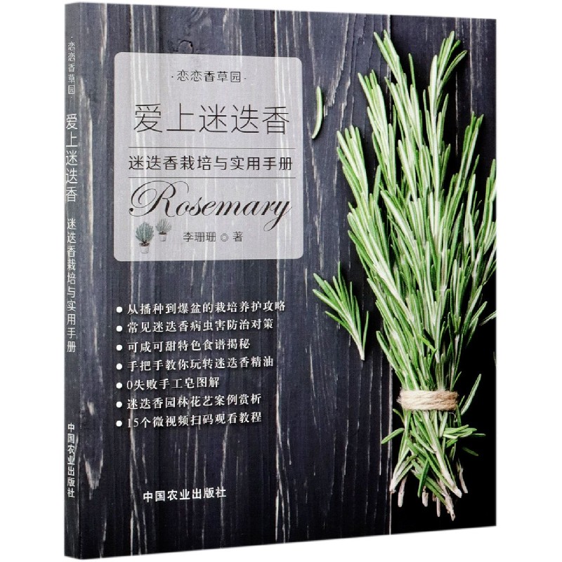 爱上迷迭香