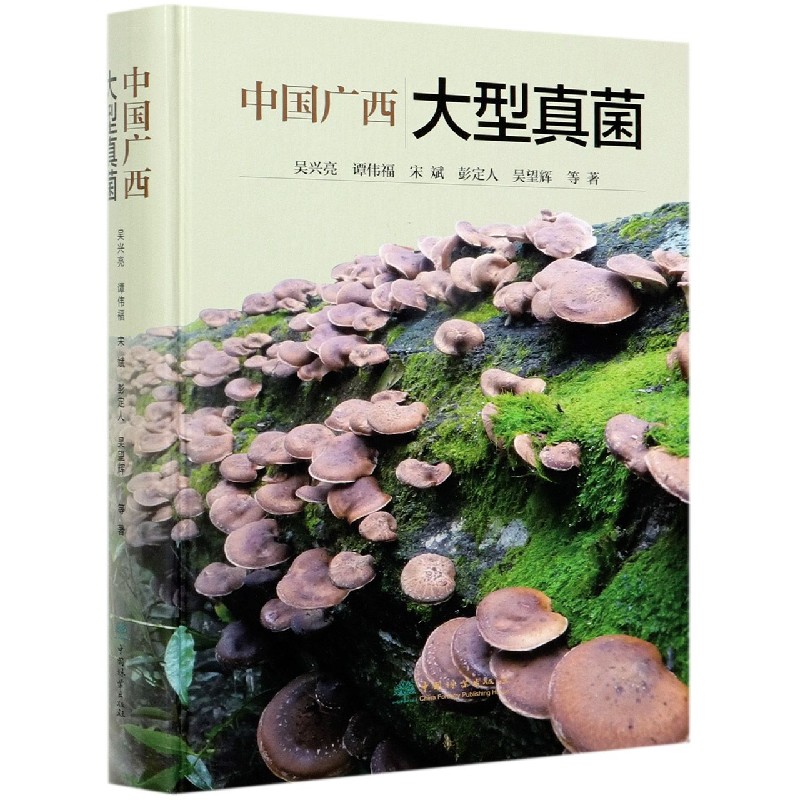 中国广西大型真菌（精）