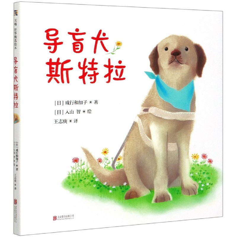 导盲犬斯特拉（精）
