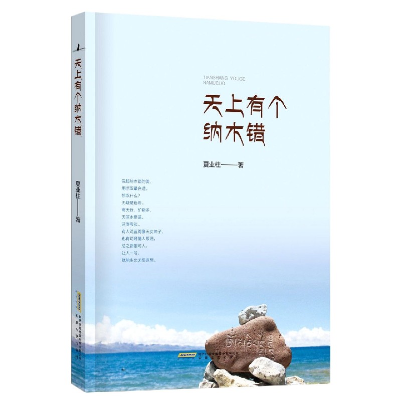 天上有个纳木错