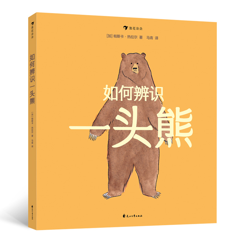 如何辨识一头熊