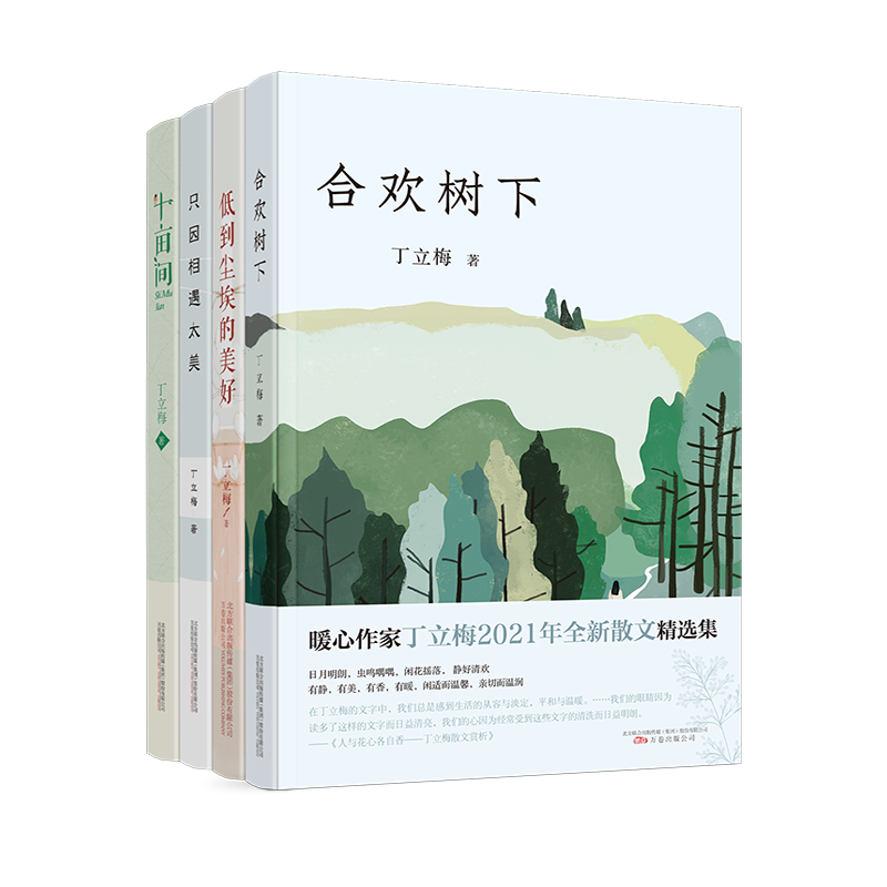 丁立梅散文精选集（全套四册）