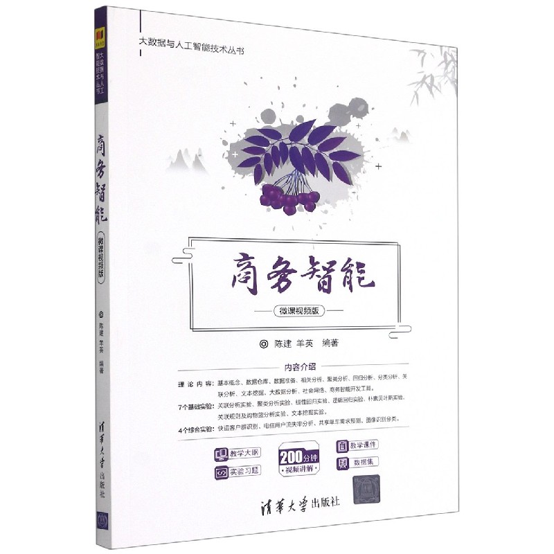 商务智能（微课视频版）/大数据与人工智能技术丛书