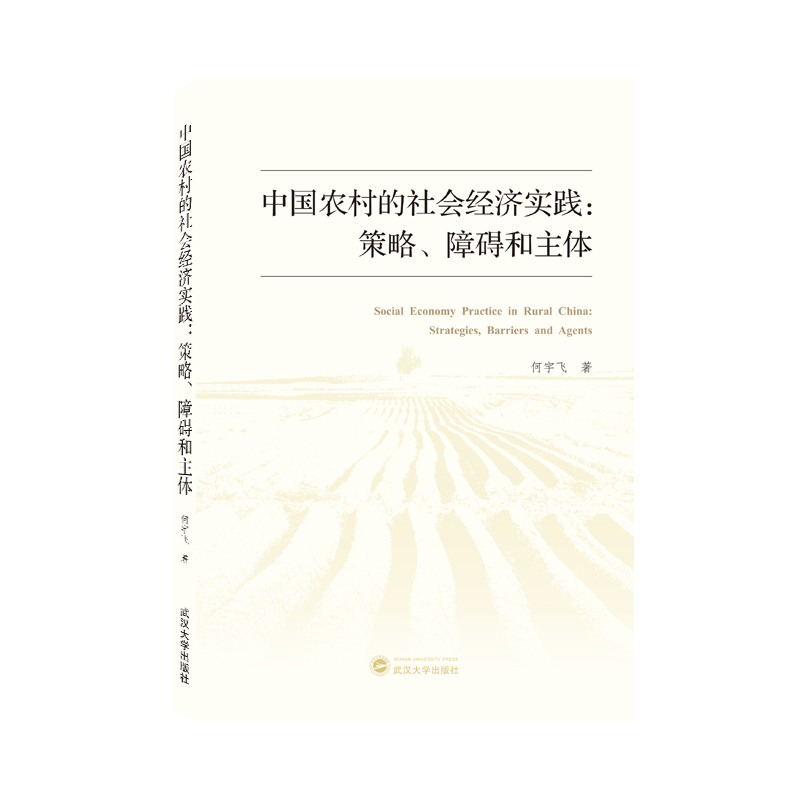 中国农村的社会经济实践：策略、障碍和主体