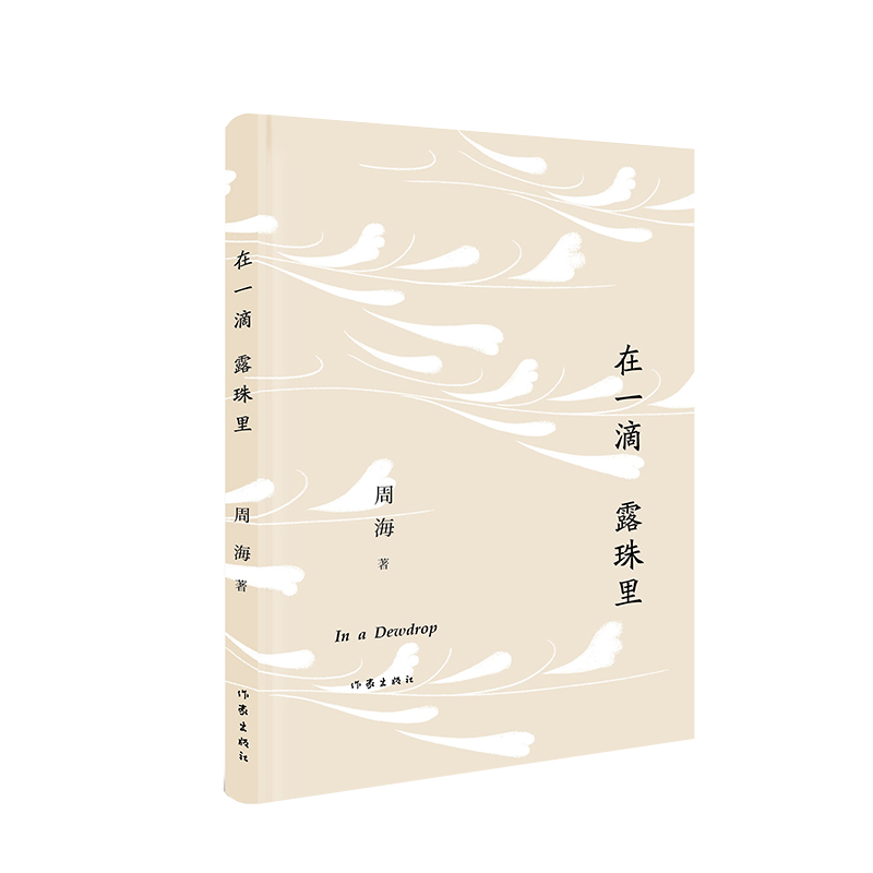 在一滴露珠里