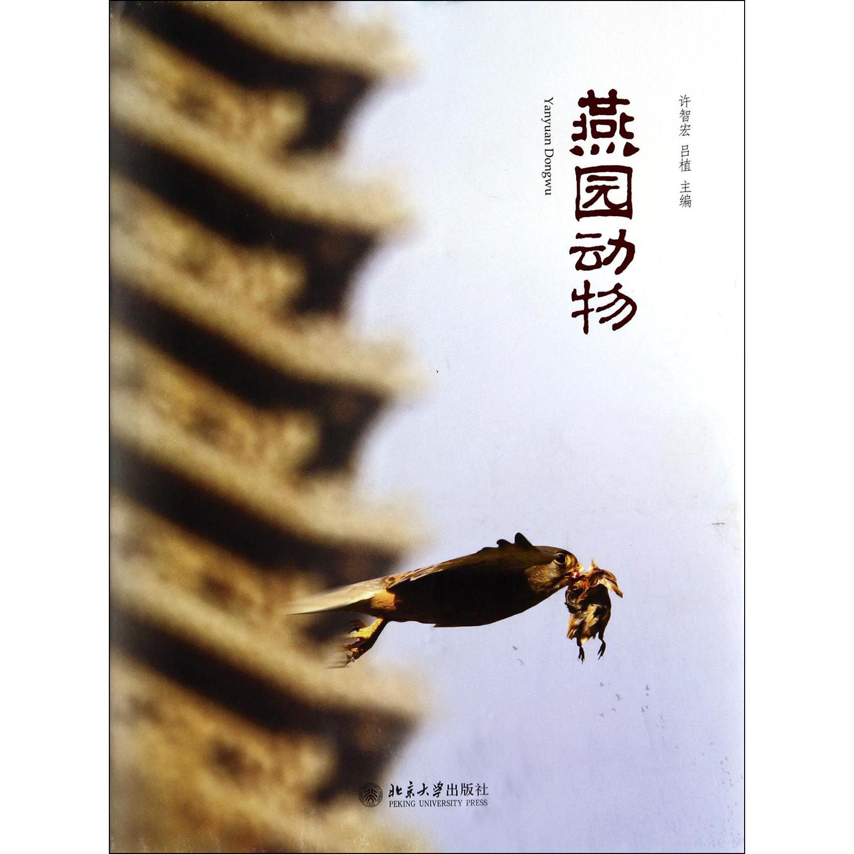 燕园动物（精）