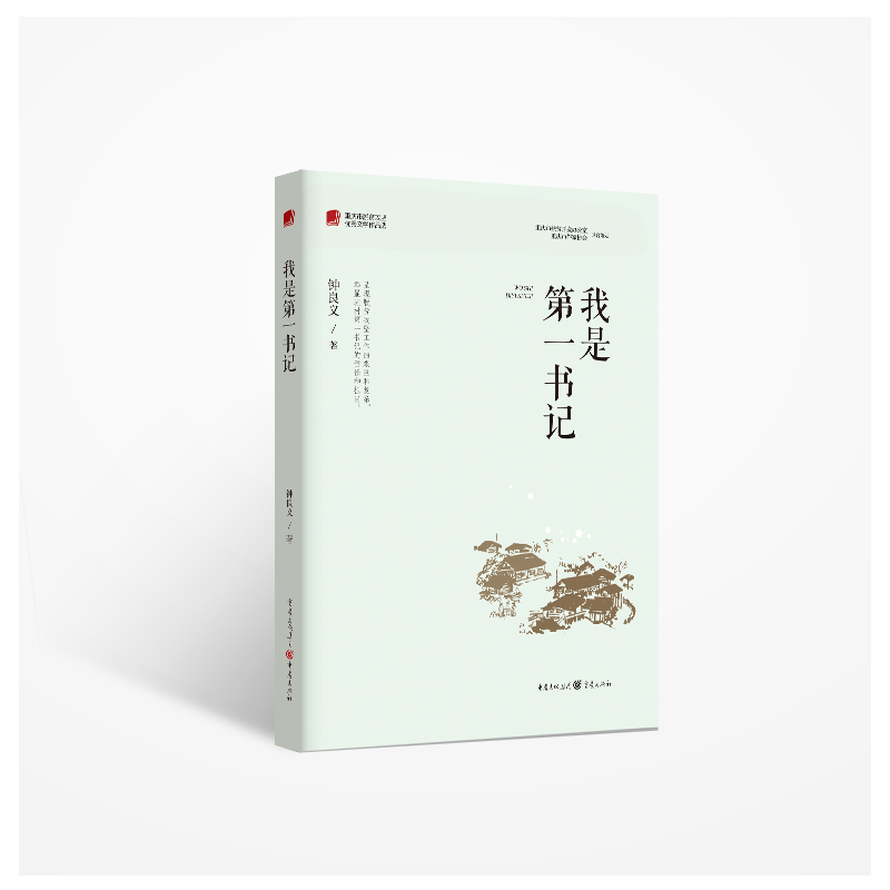 我是第一书记
