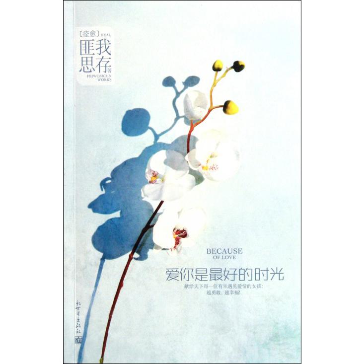 爱你是最好的时光