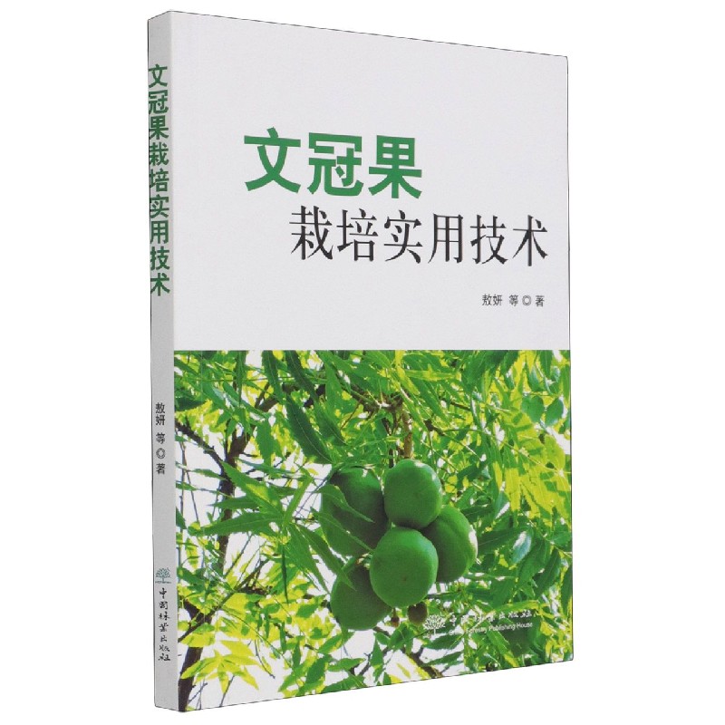 文冠果栽培实用技术