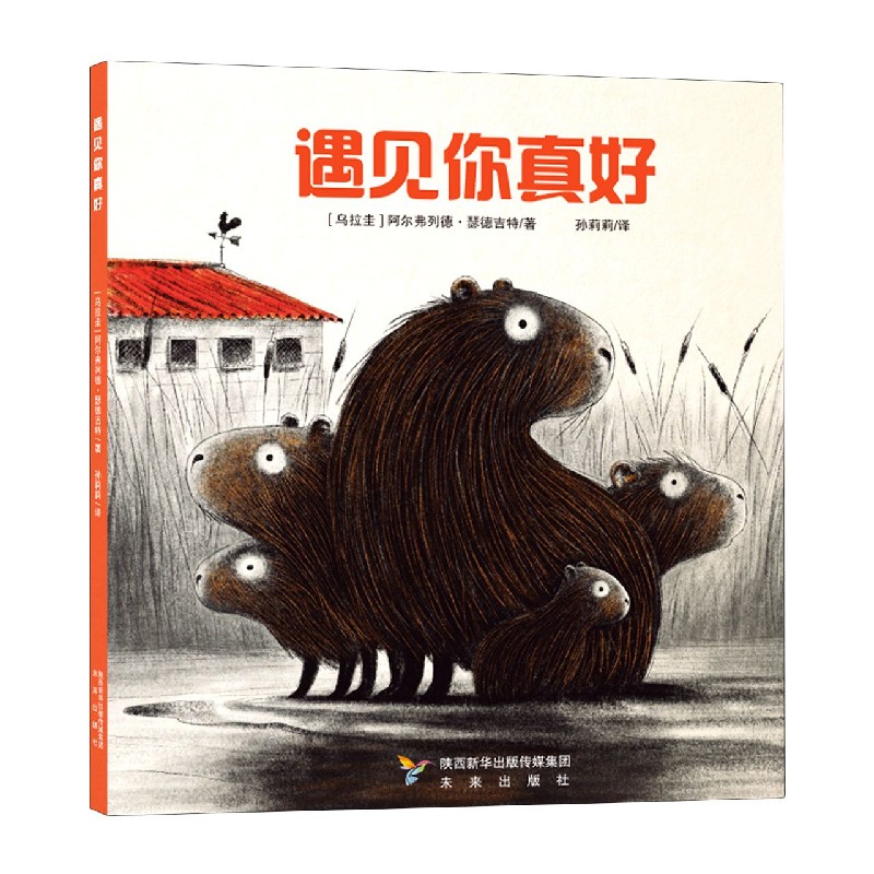 遇见你真好（精）