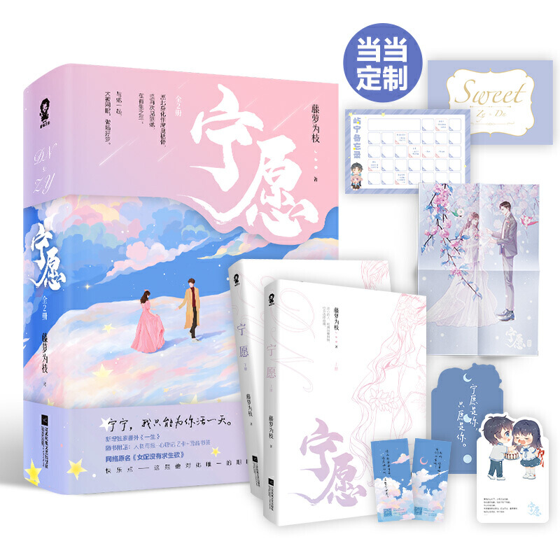 宁愿：全2册 印特签飞机盒